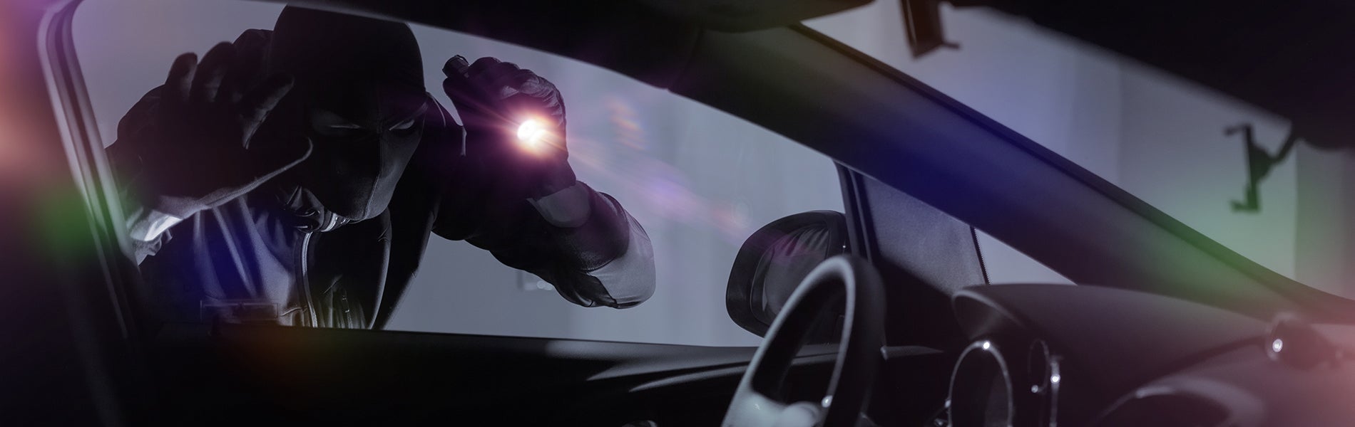 All Thieves Are Not Stupid
