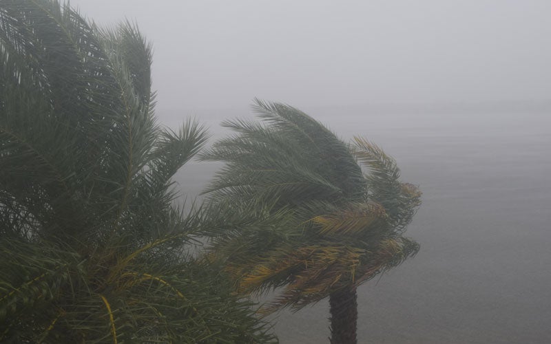 5 Things to Avoid During the Hurricane Insurance Claims Process in Florida
