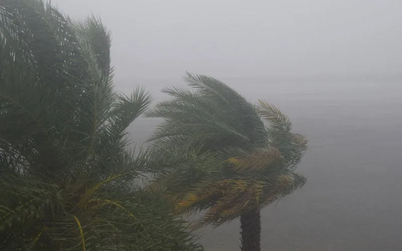 Resolving Hurricane Insurance Claim Confusion In Florida